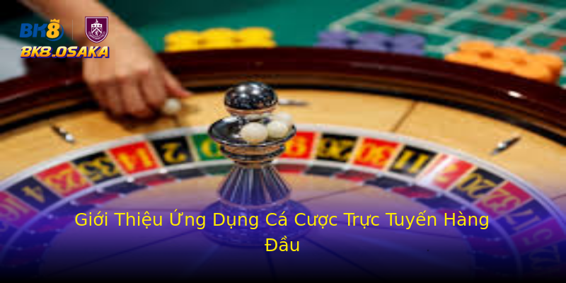 Giới Thiệu Ứng Dụng Cá Cược Trực Tuyến Hàng Đầu Giới Thiệu Ứng Dụng Cá Cược Trực Tuyến Hàng Đầu